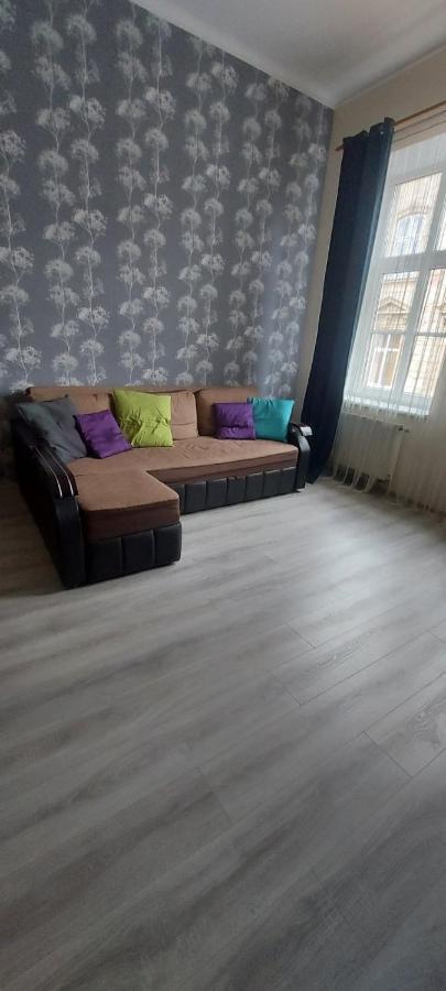 2 Bedroom Apartment On Tomashivskogo Street 7 リヴィウ エクステリア 写真